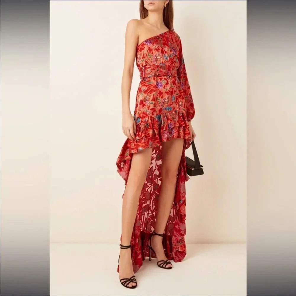 Alexis Marseille Floral Red Gown Maxi Dress One Shoulder High-Low Ruffle size M - Picture 3 of 11